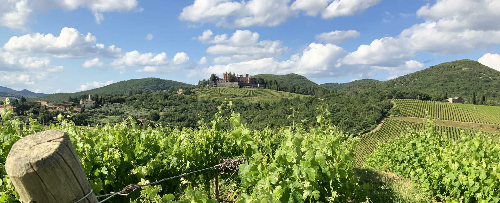 Il castello di Brolio tra le vigne