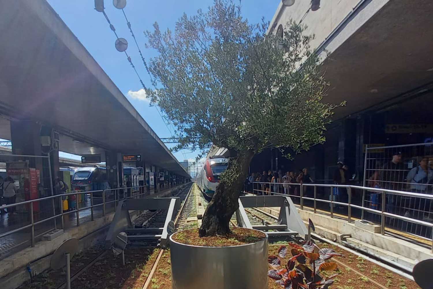 roma termini verde diffuso 