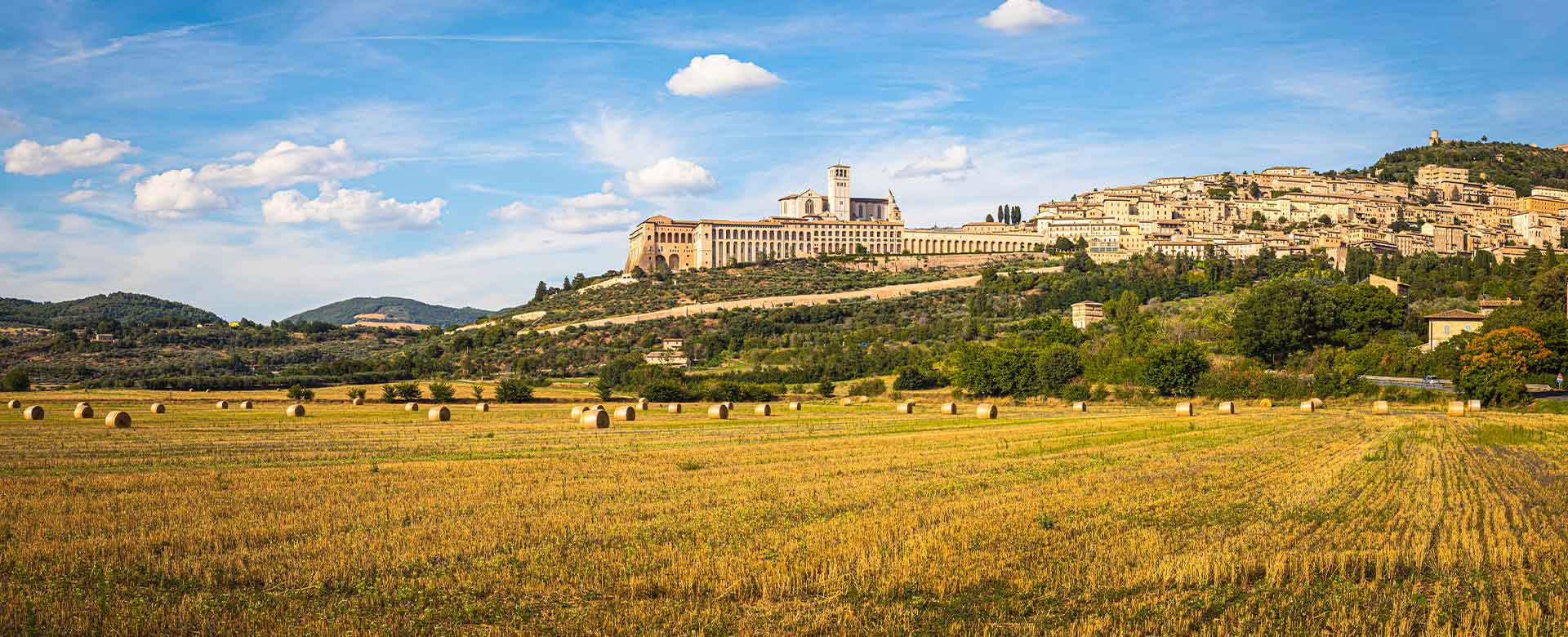 Assisi